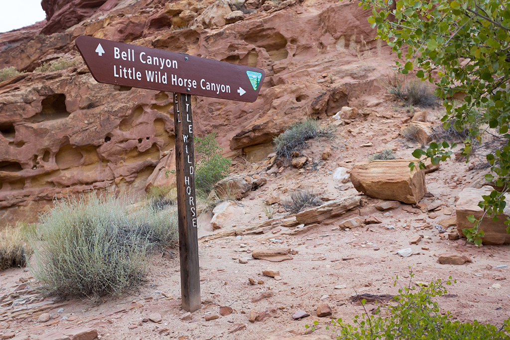 10-07 - 13.jpg - Little Wild Horse Canyon